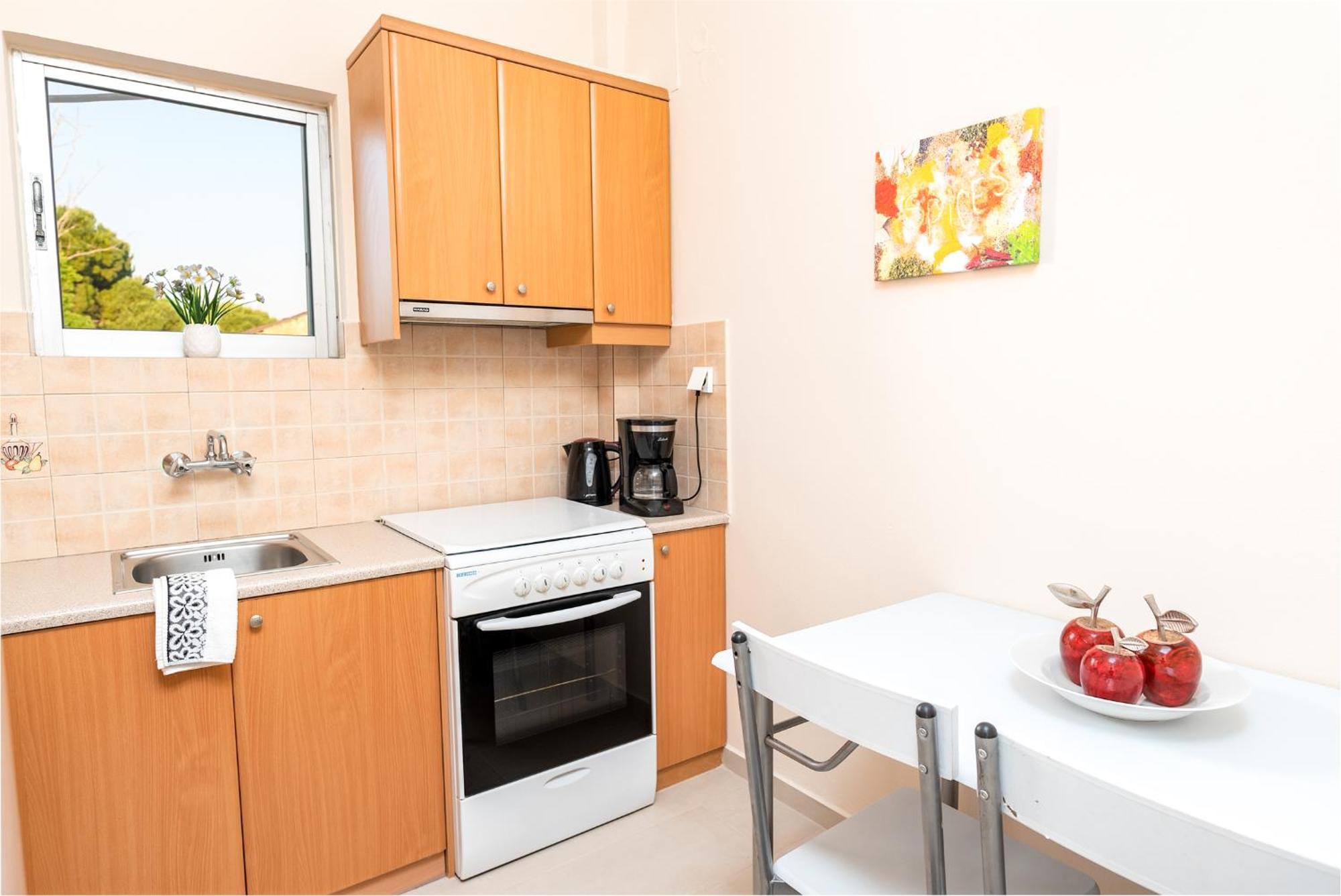 Apartment Skourtis *